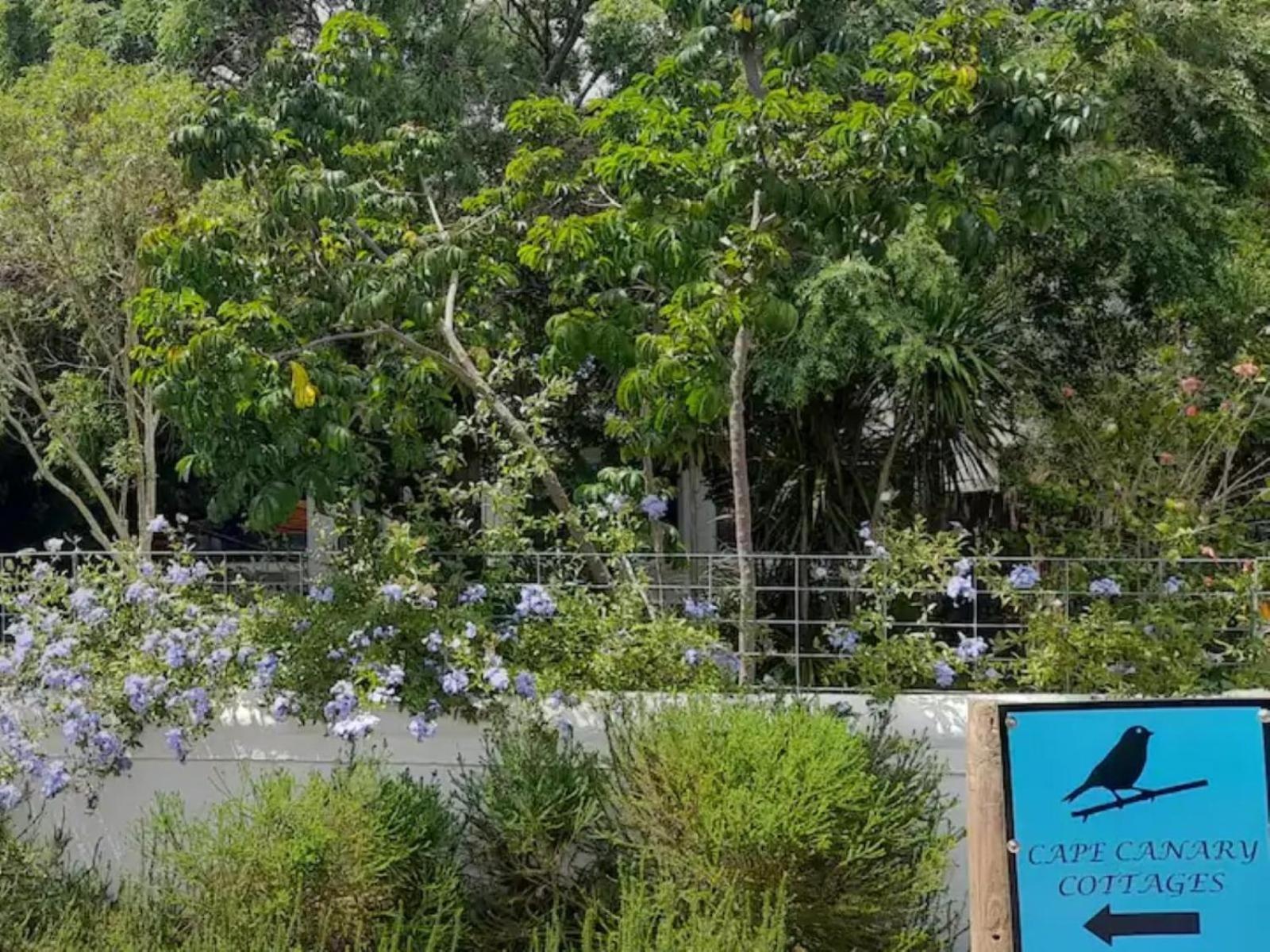 Arkelshoek Cottages สเตลเลนบอช ภายนอก รูปภาพ